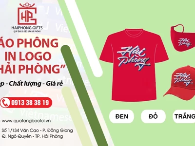 Áo phông in logo "Hải Phòng" đẹp, đa dạng màu sắc, sản phẩm hàng đầu 2023